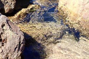 Sunlight dances on the surface of shallow seawater among rocky formations. The clear water reveals stones, algae, and marine textures below, creating a peaceful coastal scene. photo