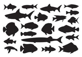 Minimalist Black Fish Silhouettes in Grid Layout on White Background. vector