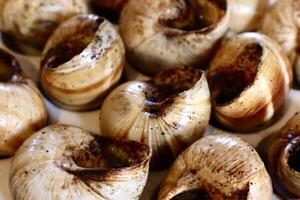 Close-up of cooked escargots in shells, seasoned and ready to eat. Traditional French delicacy with garlic butter, rich texture, and gourmet presentation. photo