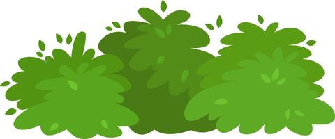 Lush green bushes are growing together, creating a vibrant and natural scene perfect for representing spring or summer, with small leaves adding detail to the foliage vector
