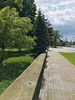 Green park landscape with trees and paved pathway during day photo