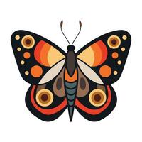 beautiful butterfly illustration isolated on white background vector