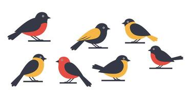 birds on a white background, including a black and yellow bird vector