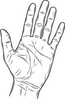 Vintage Illustration of an Outstretched Hand with Open Palm in Detailed Stipple Engraving Style vector