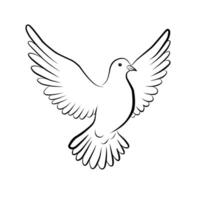 Line art of a flying dove with wide open wings. Minimalist black and white illustration symbolizing peace, freedom, and spirituality in elegant contour style vector