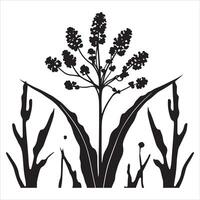 A black and white illustration of a plant with flowers vector