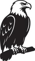Powerful bald eagle silhouette on branch, Regal bird of prey resting image vector