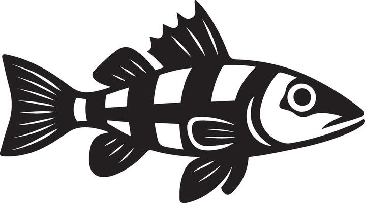 Striped fish illustration clean style, Fish with lines aquatic drawing artwork