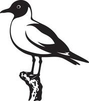 Seagull perched on branch bird silhouette, Seabird resting silhouette black and white vector