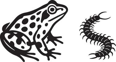 Frog and centipede black and white drawing, Simple nature creatures design vector