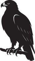 Majestic silhouette of an eagle perched on a branch, Resting raptor in elegant pose vector