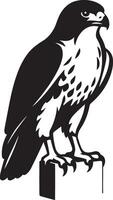 Majestic falcon perched on a post illustration, Resting bird of prey silhouette vector