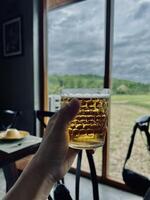 A person holding a glass of beer in front of a window photo