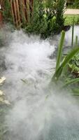 Steam coming out of a hot tub in a garden photo