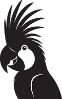 Cockatoo profile elegant black and white art, Parrot species in side view silhouette vector