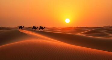 Charming sunset on the desert with camels photo