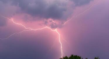 Lightning strikes over a tree in the sky photo