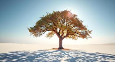 A tree is standing in the snow with the sun shining photo