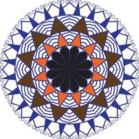 Intricate Mandala Design with Geometric and Floral Elements vector