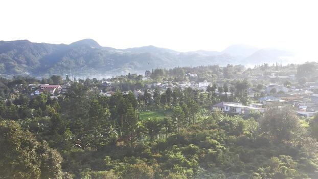 A view of a town in the mountains with trees and houses photo