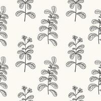 Stevia engraved plant on seamless pattern. Floral repeating background with freshness herbs, sugar leafs. Botanical doodle for textile, wrapping, paper. Food sweetener. Hand drawn illustration vector