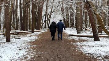 Mature couple going on snowy path at winter pine forest. Senior husband and wife walking through trail at coniferous woodland. Older pair of pensioners spending time together at nature. photo
