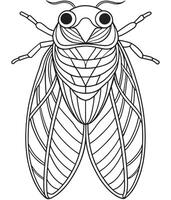 Cicada anatomy illustration for kids science coloring page activity vector