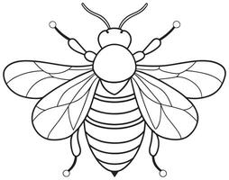 Bumblebee line art for insect study and printable coloring fun vector