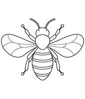 Bumblebee bee cartoon drawing for coloring and learning activities vector