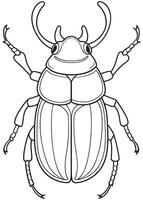 Rhinoceros beetle anatomy drawing for bug coloring and science learning vector