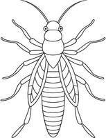 Stonefly insect drawing for nature learning and bug coloring books vector