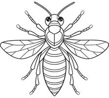 Hornet cartoon insect line art for coloring books and nature study vector