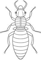 Termite insect drawing for classroom bug study and coloring activities vector