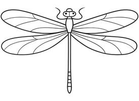 Damselfly insect elegant drawing for kids coloring and science projects vector
