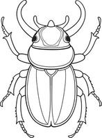 Stag beetle line drawing for coloring pages and entomology education vector