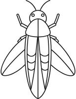 Firefly simple line drawing for bug learning and coloring activities vector