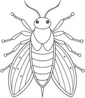 Whitefly insect drawing for coloring book insect learning pages vector