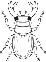 Stag beetle anatomy line art for coloring and science education vector