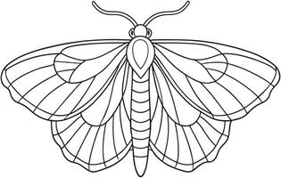 Moth insect wings illustration for coloring and creative learning vector