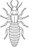 Termite bug line drawing for kids coloring and bug learning fun vector