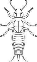 Earwig insect anatomy drawing for educational coloring page use vector