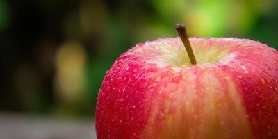 A close-up of a vibrant red apple, glistening with refreshing water droplets. photo