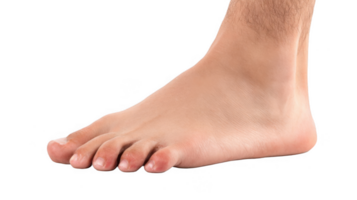 Bare foot showing on transparent background ready for compositing png