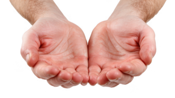 Two open hands showing empty palms on transparent background png