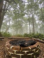 Brick Forest Fire Pit Surrounded by Mossy Logs in Misty Woodland photo