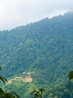 Secluded House Amid Dense Forest on Mountain Slope photo