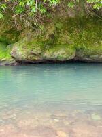 Clear Stream Flowing Over Moss-Covered Rocks in Forest Setting photo