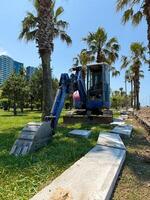 Excavator with Curved Concrete Pathway in Urban Tropical Setting photo