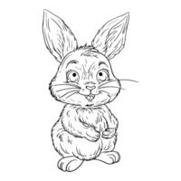 a coloring page with a rabbit vector