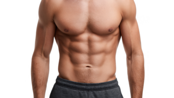 Muscular torso of a man showing his abs on transparent background png